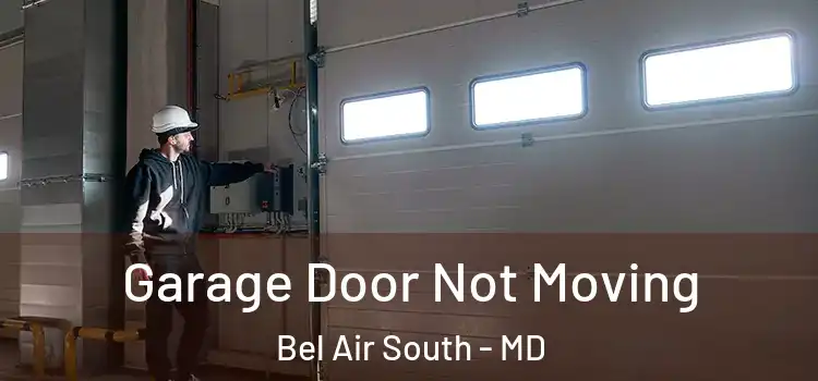  Garage Door Not Moving Bel Air South - MD