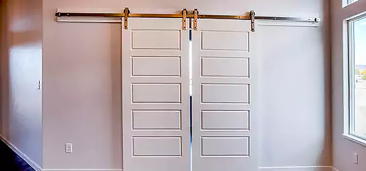 Glass Barn Door with Installation Hardware Kit Bel Air South